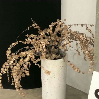 兽设Q版设计实用教程福瑞群